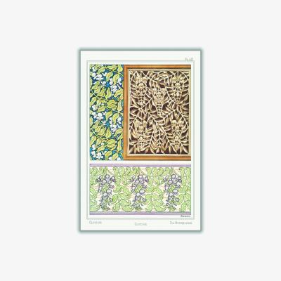 Wolf & Badger Glycine Wisteria Iii Print By Maurice Pillard Verneuil A4 210 X 297Mm Stanley Print House