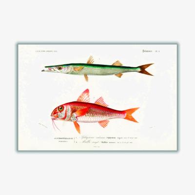Wolf & Badger Different Types Of Fishes I Extra Large Stanley Print House