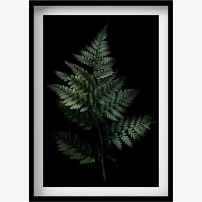 Wolf & Badger Black / Green Fern Print A3 297 X 420Mm Francesca Wild
