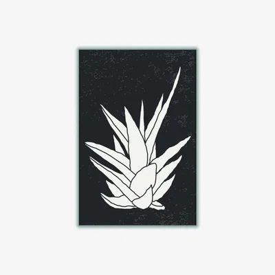 Wolf & Badger Black Agave #1 Large Stanley Print House