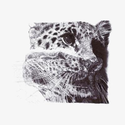Wolf & Badger Black Our Loss Limited Edition Print Jane Lee Mccracken