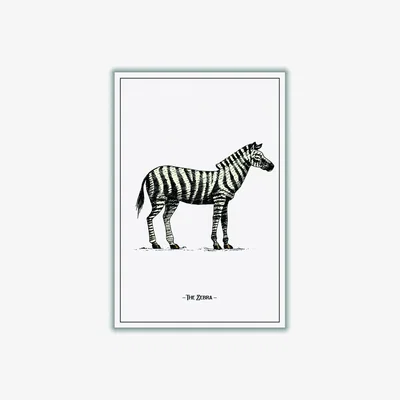Wolf & Badger Black The Zebra A1 594 X 841Mm Stanley Print House
