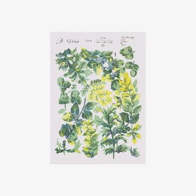 Wolf & Badger Midsummer Dreams - A1 Print~Sisters