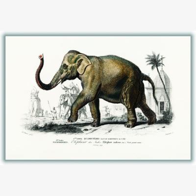 Wolf & Badger Grey Elephant Xxs Stanley Print House
