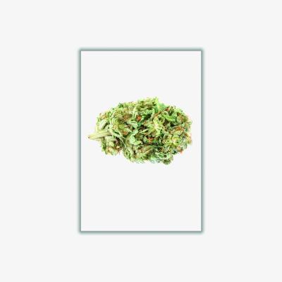Wolf & Badger Green Girl Scout Cookies Bud A4 210 X 297Mm Stanley Print House