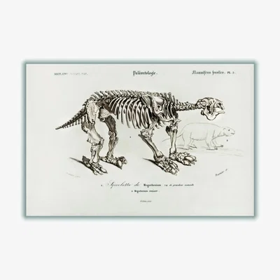 Wolf & Badger Grey Megatherium Extra Small Stanley Print House