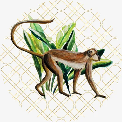 Wolf & Badger Neutrals Circle Wall Sticker Wild Jungle Stories Monkey Catchii
