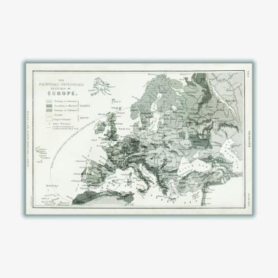 Wolf & Badger Grey Geological Map Of Europe Large Stanley Print House