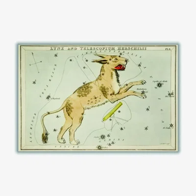Wolf & Badger Gold Astronomical Chart Illustration Of Lynx And The Telescopium Herschilii A3 297 X 420Mm Stanley Print House