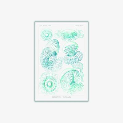 Wolf & Badger Blue Leptomedusae-Faltenquallen By Ernst Haeckel A4 210 X 297Mm Stanley Print House