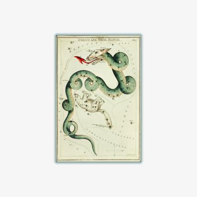 Wolf & Badger Green Astronomical Chart Illustration Of The Draco & The Ursa Minor Medium Stanley Print House