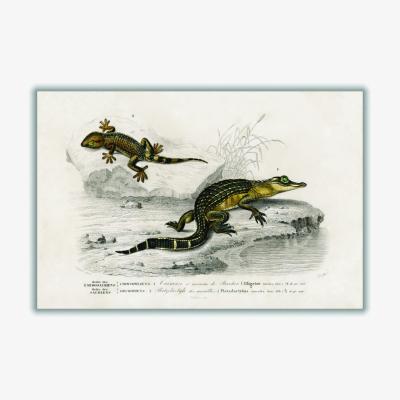 Wolf & Badger Green Alligator And Lilford Swall Lizard A4 210 X 297Mm Stanley Print House