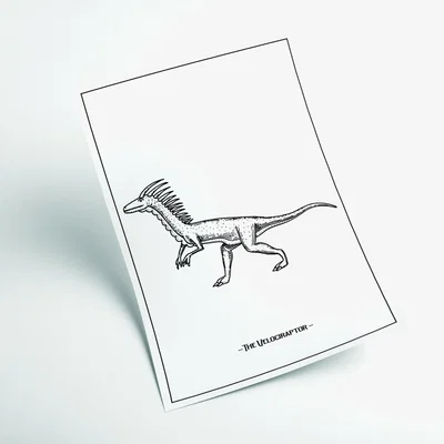 Wolf & Badger Black The Velociraptor Xxs Stanley Print House