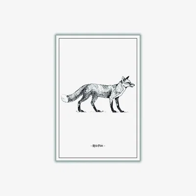 Wolf & Badger Black Red Fox A1 594 X 841Mm Stanley Print House