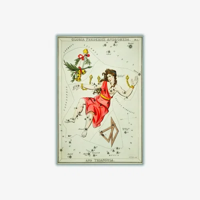 Wolf & Badger Yellow / Orange Astronomical Chart Illustration Of Gloria Frederici Andromeda A3 297 X 420Mm Stanley Print House