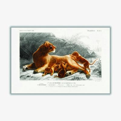 Wolf & Badger Fails Leo Medium Stanley Print House