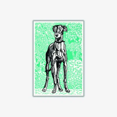 Wolf & Badger Black Greyhound 1912 By Moriz Jung A4 210 X 297Mm Stanley Print House