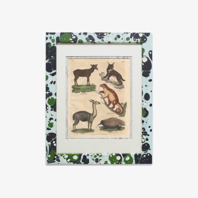Wolf & Badger Green / Blue Buffon Print No. Thirty-Four In Glacier Frame Wildmore