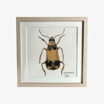 Wolf & Badger Yellow / Orange Painting Yellow Insect Catchii
