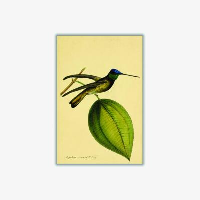 Wolf & Badger Green Crowned Humming Bird Small Stanley Print House