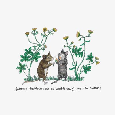 Wolf & Badger White Buttercup Mice Print A4 210 X 297Mm Abigail Hardie Home