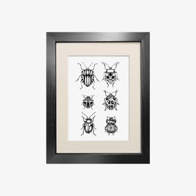 Wolf & Badger Black 'British Beetles' Fine Art Print A5 Emily Carter