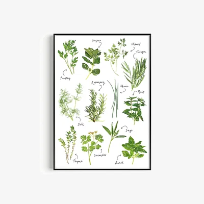 Wolf & Badger Green / Neutrals Herb Hand Painted Art Print - A2 Natalie Cass Art