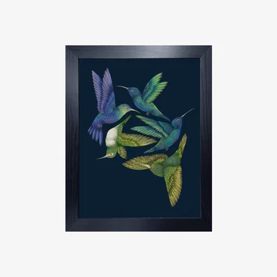 Wolf & Badger Antique Hummingbirds I Indigo Fine Art Print A5 Emily Carter