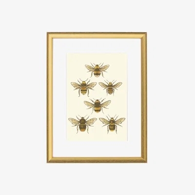 Wolf & Badger Gold British Bees Fine Art Print A3 Colour Emily Carter