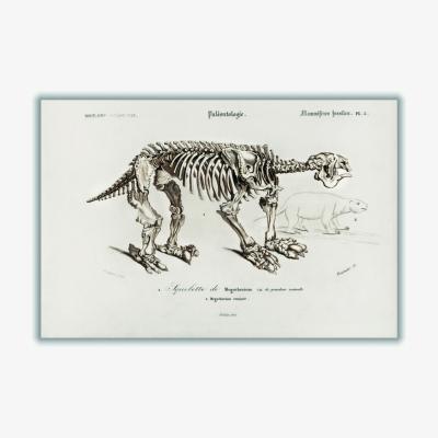 Wolf & Badger Grey Megatherium Xxs Stanley Print House