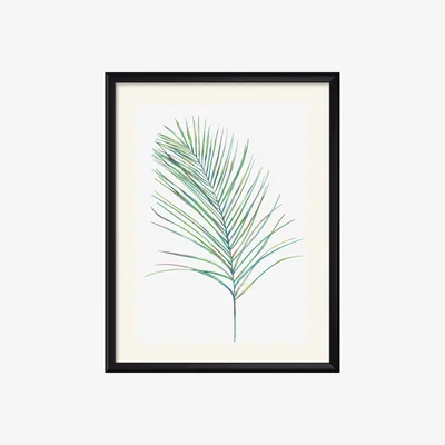 Wolf & Badger Leaf Two Claudine O'sullivan Illustration & Design