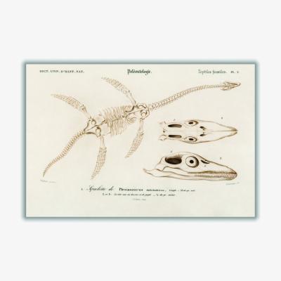 Wolf & Badger Gold Plesiosaurus Extra Large Stanley Print House