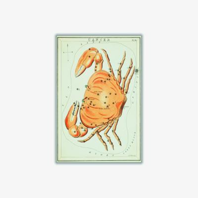 Wolf & Badger Yellow / Orange Astronomical Chart Illustration Of The Cancer Zodiac A4 210 X 297Mm Stanley Print House