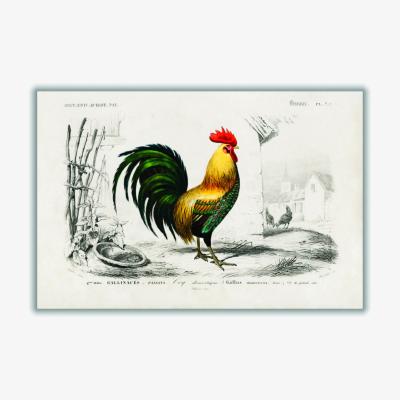 Wolf & Badger Yellow / Orange Cock Small Stanley Print House