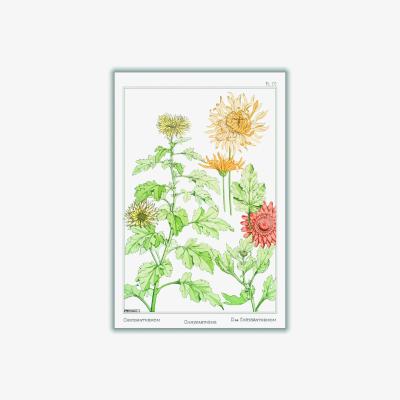 Wolf & Badger Green Chrysanthème Print By Maurice Pillard Verneuil A1 594 X 841Mm Stanley Print House