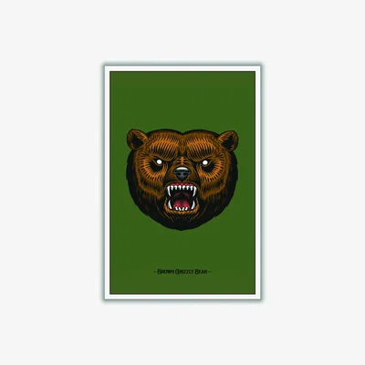 Wolf & Badger Brown Grizzly Bear A2 420 X 594Mm Stanley Print House