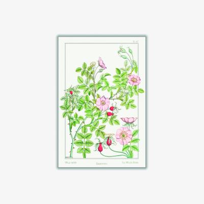 Wolf & Badger Green Eglantier Print By Maurice Pillard Verneuil A1 594 X 841Mm Stanley Print House