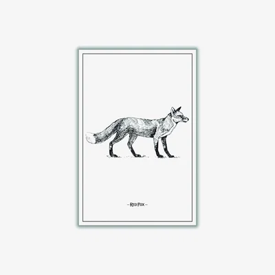 Wolf & Badger Black Red Fox A3 297 X 420Mm Stanley Print House