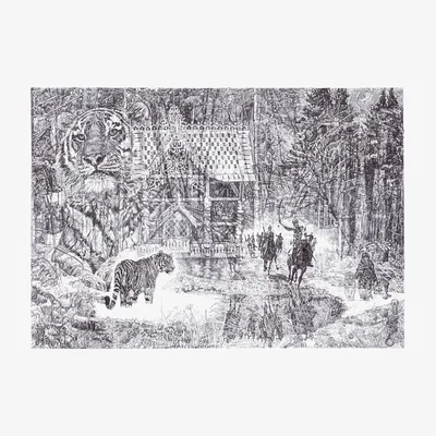 Wolf & Badger Black Shh It's A Tiger Limited Edition Framed Print Jane Lee Mccracken