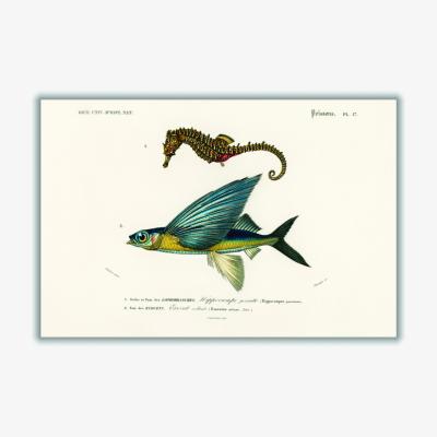 Wolf & Badger Blue Lined Seahorse Extra Large Stanley Print House