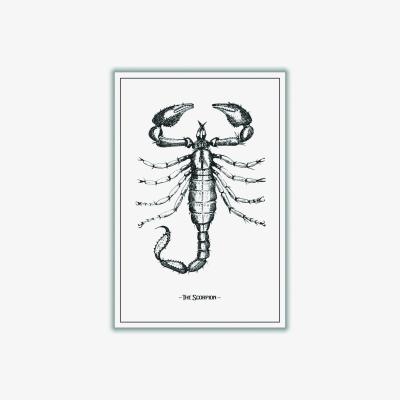 Wolf & Badger Black The Scorpion Xxs Stanley Print House