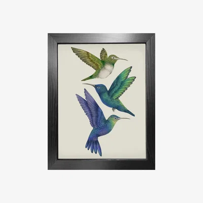 Wolf & Badger Green Antique Hummingbirds Ii Cream - Fine Art Print A3 Emily Carter