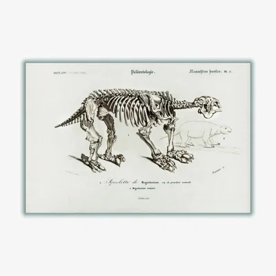Wolf & Badger Grey Megatherium A3 297 X 420Mm Stanley Print House