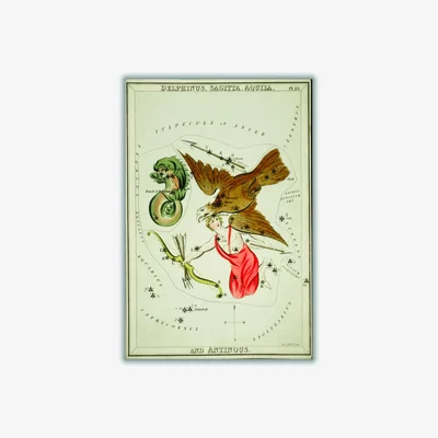 Wolf & Badger Yellow / Orange Astronomical Chart Illustration Of The Delphinus - Sagitta - Aquila A2 420 X 594Mm Stanley Print House