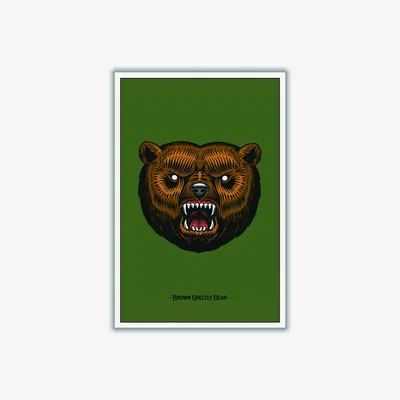 Wolf & Badger Brown Grizzly Bear A3 297 X 420Mm Stanley Print House