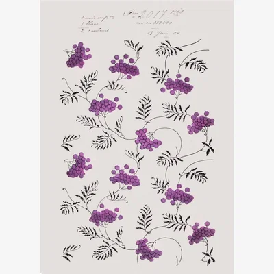 Wolf & Badger Pom Pom - A1 Print~Sisters