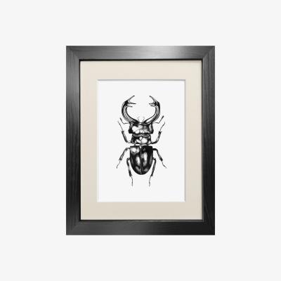 Wolf & Badger Black 'The Stag Beetle' Fine Art Print A5 Emily Carter