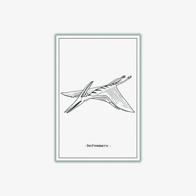Wolf & Badger Black The Pterodactyl A4 210 X 297Mm Stanley Print House