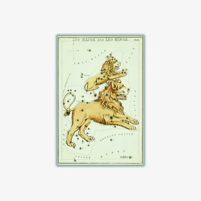 Wolf & Badger Gold Astronomical Chart Illustration Of The Leo Major & The Leo Minor Extra Small Stanley Print House