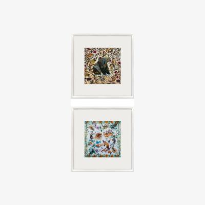 Wolf & Badger Koala And Australian Wild Life Framed Silk Set | Un Poco